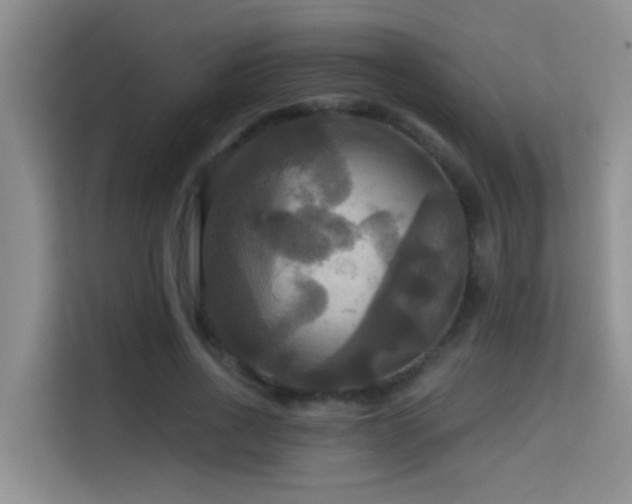 X0000114720734200910211346