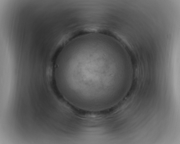 X0000114720739200910211347