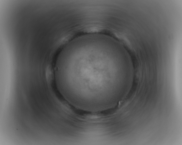 X0000114720743200910211347