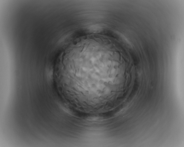 X0000114720745200910211347