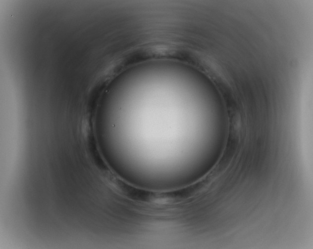 X0000114720746200910211347