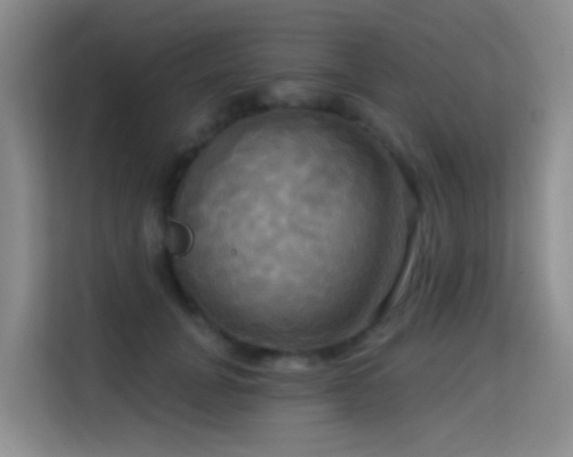 X0000114720751200910211347