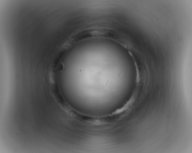 X0000114720755200910211347