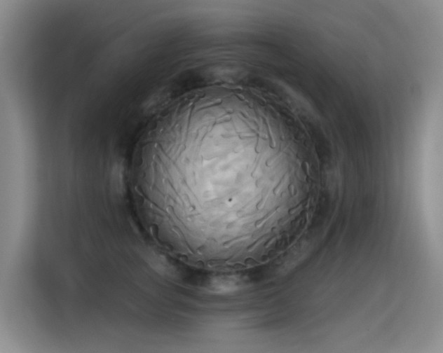 X0000114720757200910211347