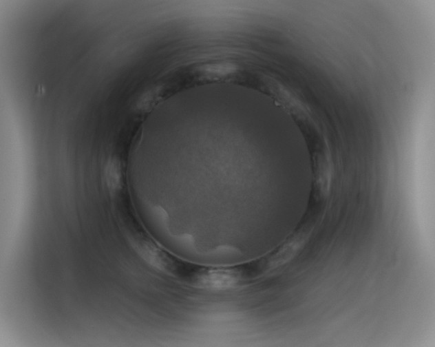 X0000114720758200910211347