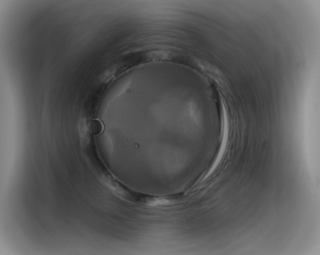 X0000114720759200910211347