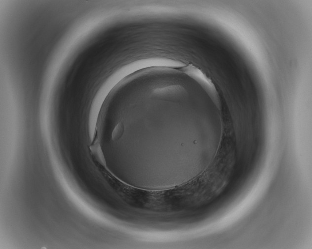 X0000114720766200910211347