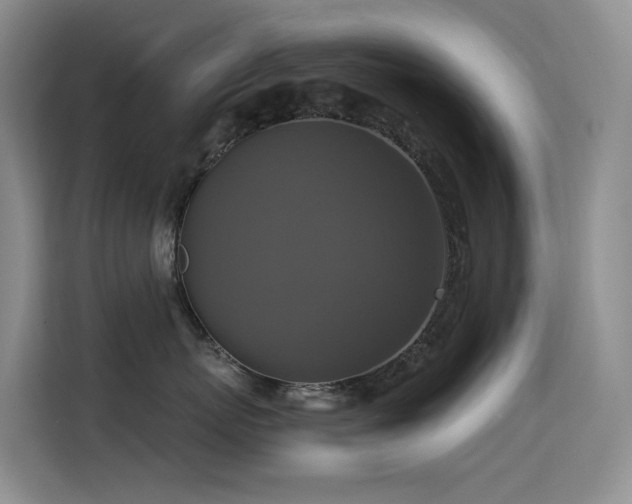 X0000114720767200910211347