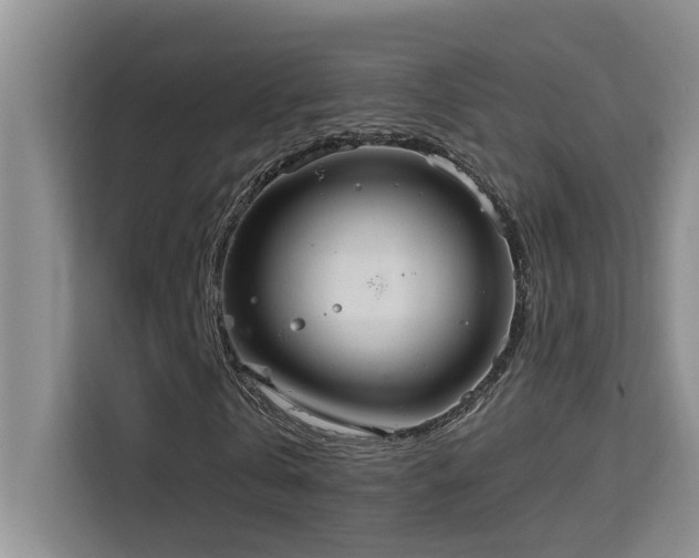 X0000114720769200910211346