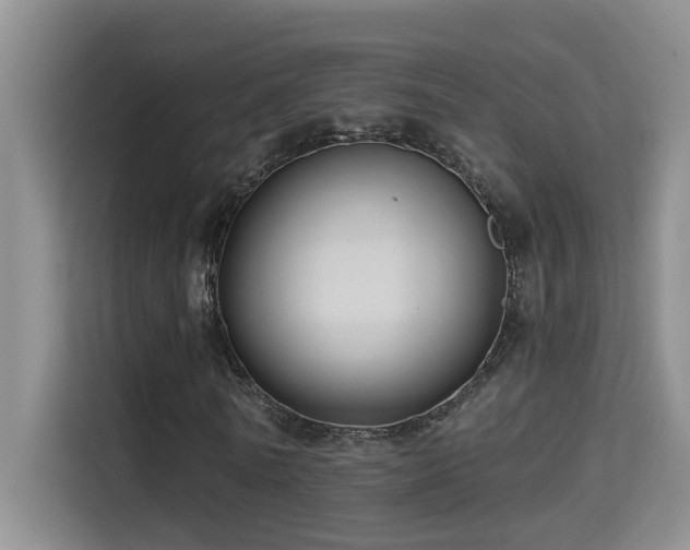 X0000114720770200910211346