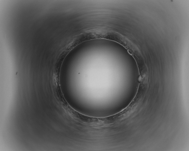 X0000114720772200910211346