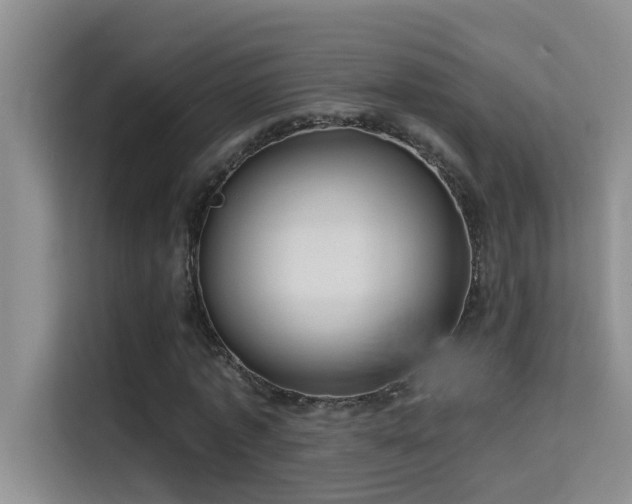 X0000114720773200910211346