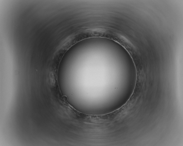 X0000114720774200910211346