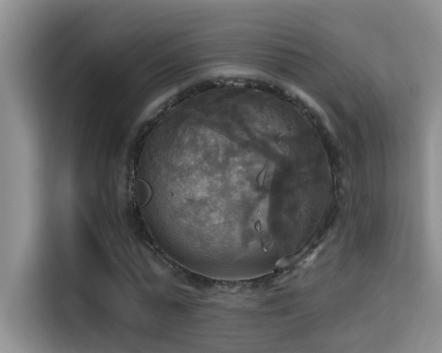 X0000114720775200910211346