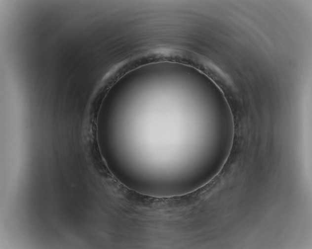 X0000114720776200910211346