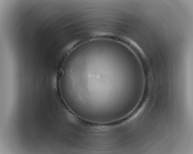 X0000114720777200910211346