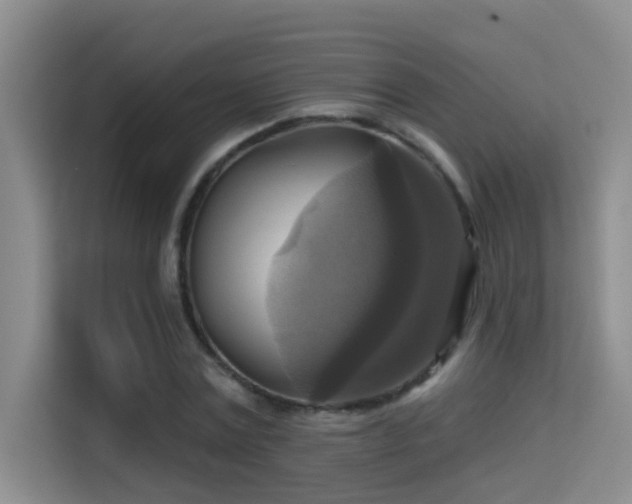 X0000114720779200910211346