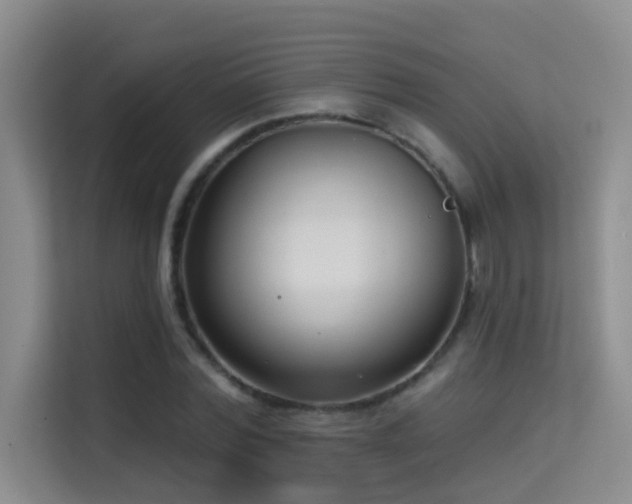 X0000114720780200910211346