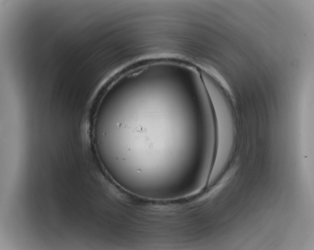 X0000114720781200910211346