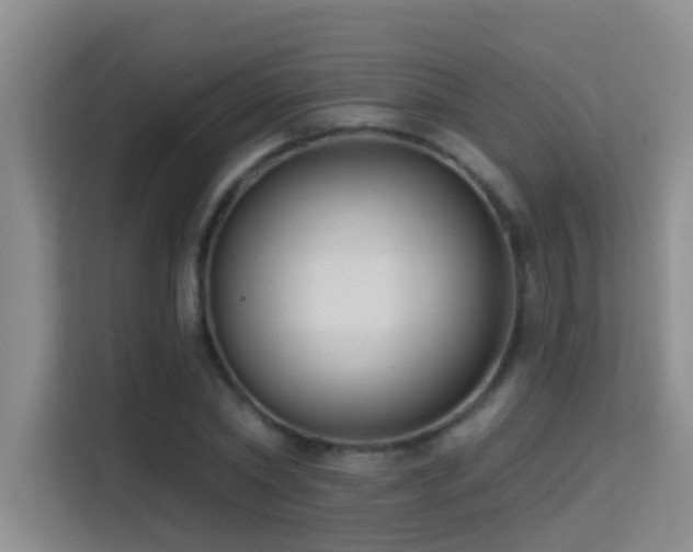 X0000114720782200910211346