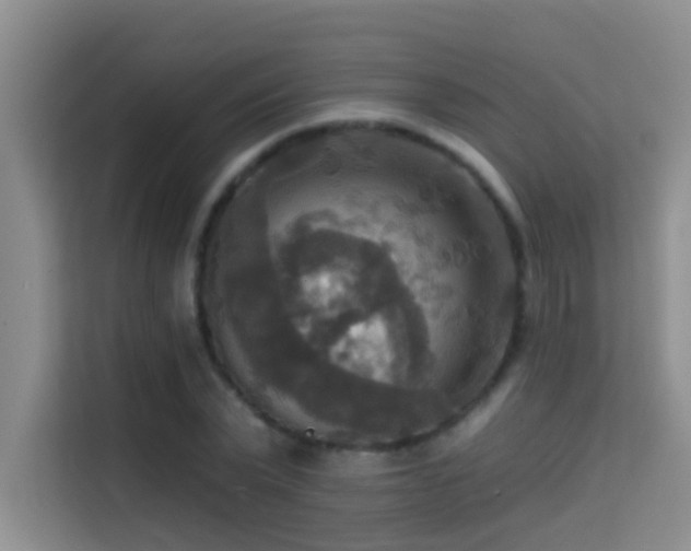 X0000114720783200910211346