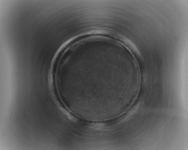 X0000114720784200910211346