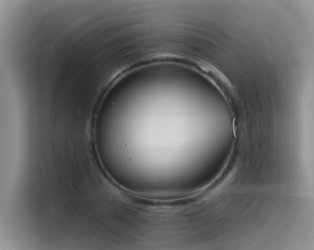 X0000114720785200910211346