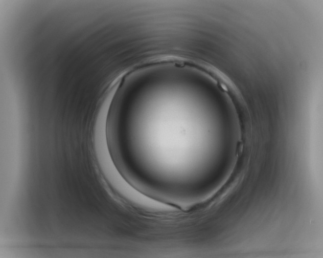 X0000114720793200910211346