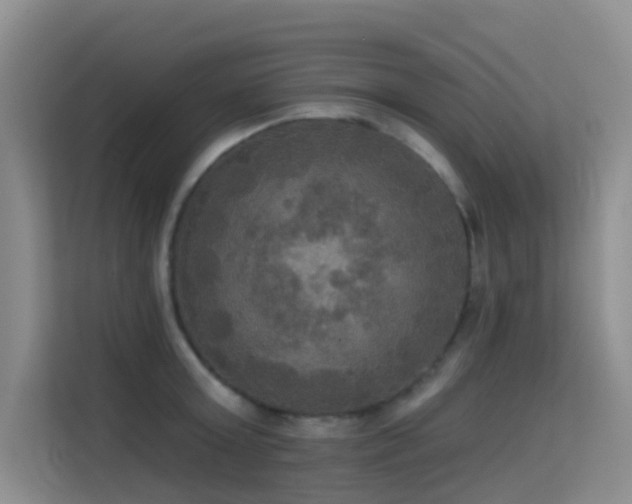 X0000114720803200910211346