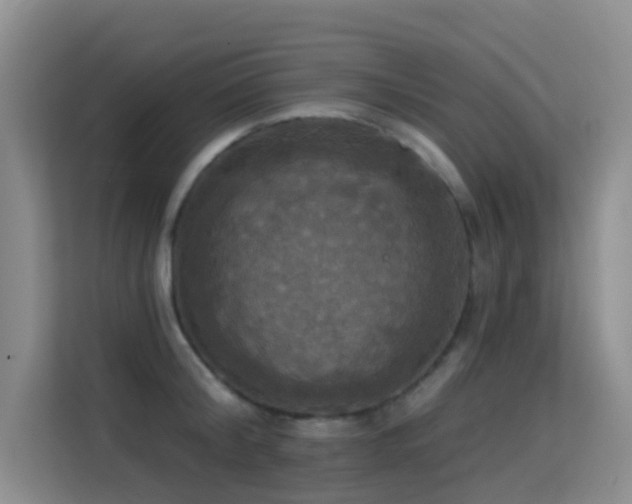 X0000114720804200910211346