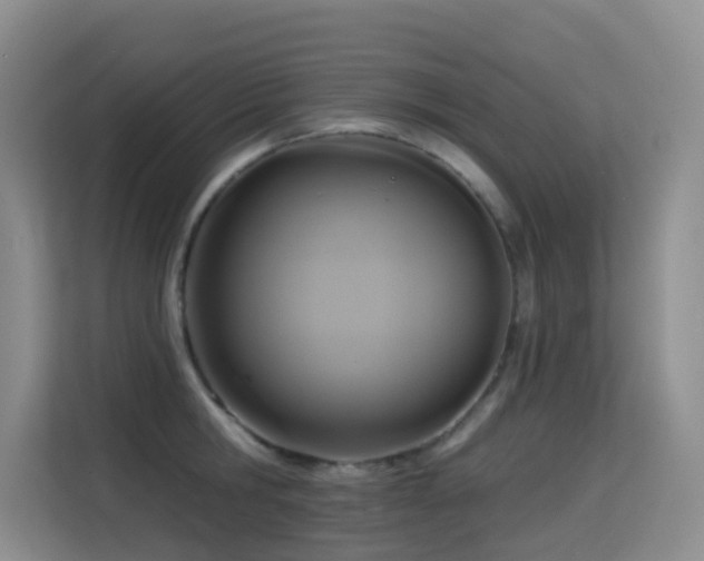 X0000114720806200910211346