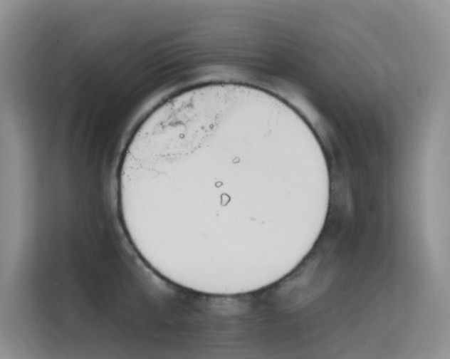 X0000114720807200910211346