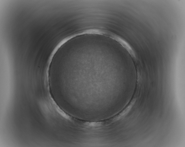 X0000114720808200910211346