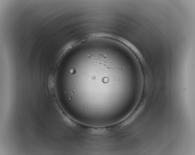 X0000114720809200910211346