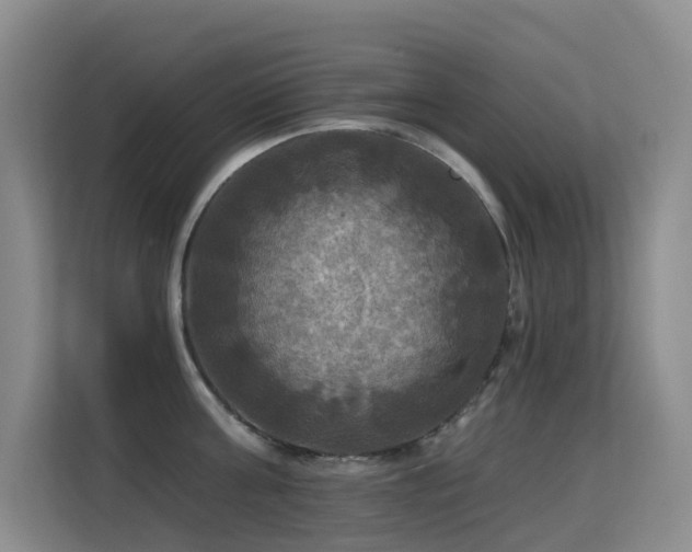 X0000114720811200910211346