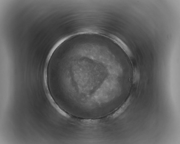 X0000114720812200910211346