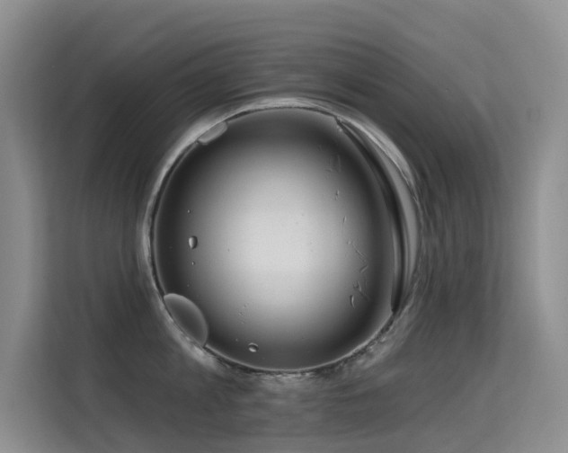 X0000114720813200910211346