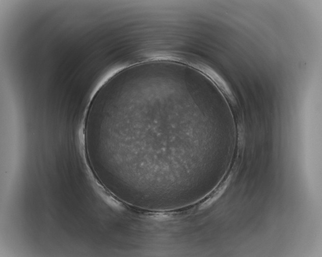 X0000114720814200910211346