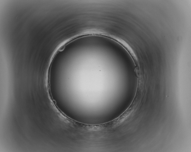 X0000114720815200910211346