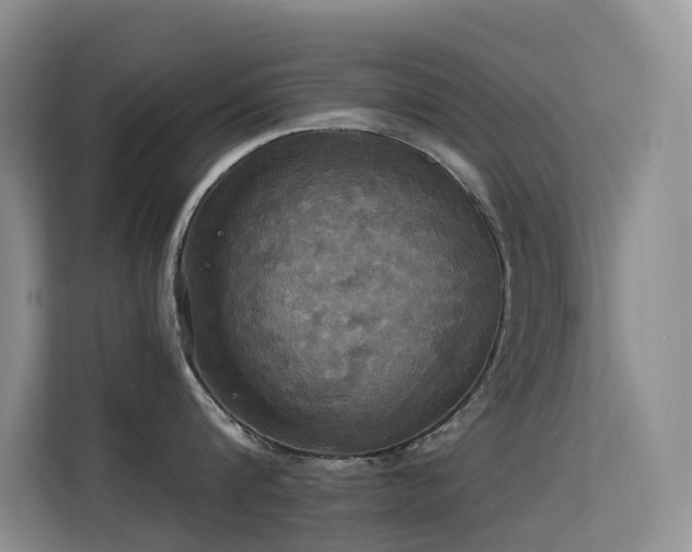 X0000114720816200910211346