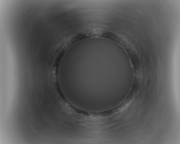 X0000114720818200910211345