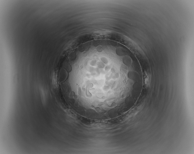 X0000114720819200910211345