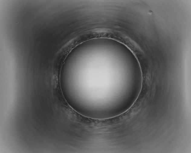 X0000114720821200910211345