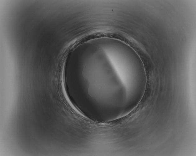 X0000114720822200910211345