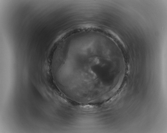 X0000114720823200910211345