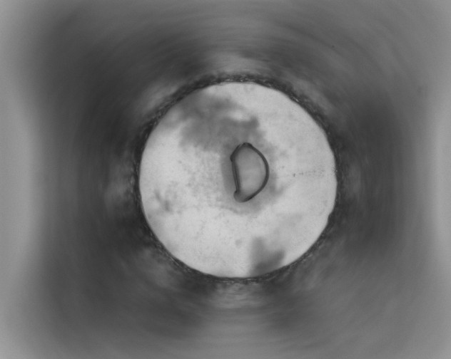 X0000114720824200910211345