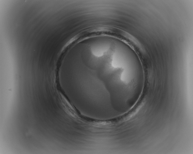 X0000114720826200910211345