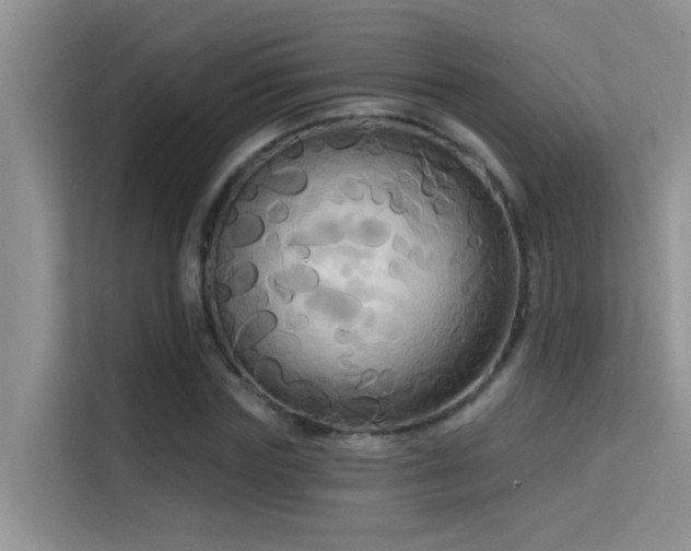 X0000114720827200910211345