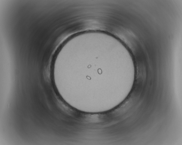 X0000114720828200910211345