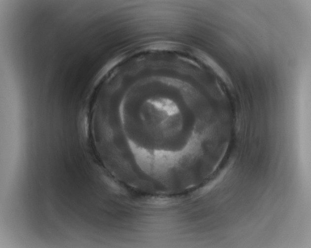 X0000114720829200910211345